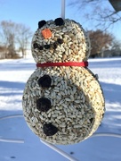8th Jan 2022 - Seedy Snowman 