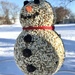 Seedy Snowman  by beckyk365