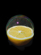 9th Jan 2022 - Bubble on a Lemon in Black