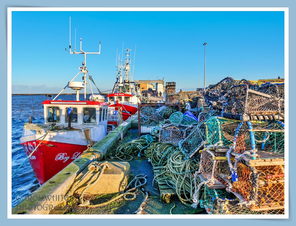 Lobster Pots And Fishing Boats,Amble Harbour by carolmw