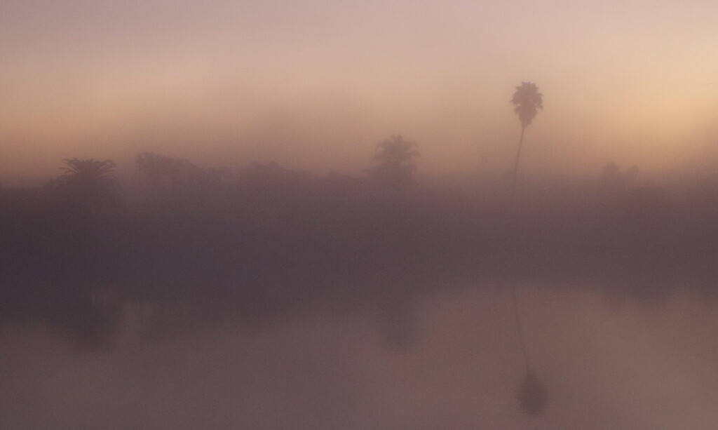 Foggy Morning by markandlinda