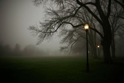 9th Jan 2022 - Ahh, fog