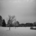 Snowy Day by ramr