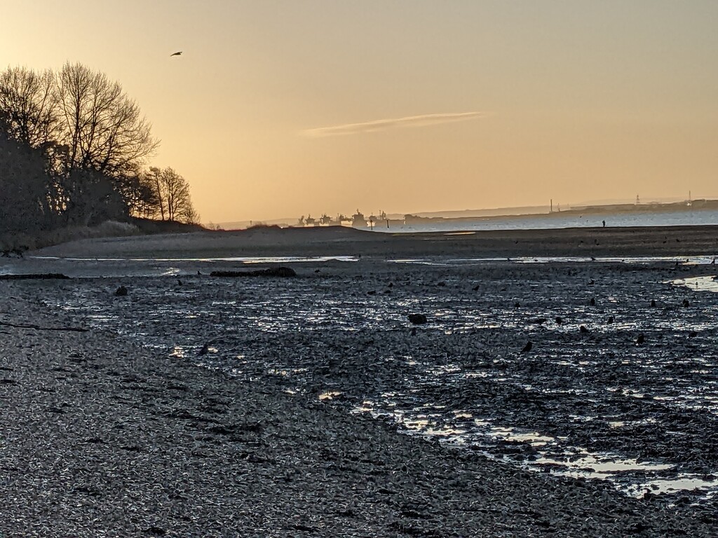 Low tide in the morning by yorkshirelady
