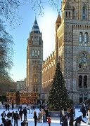 9th Jan 2022 - The Natural History Museum ....