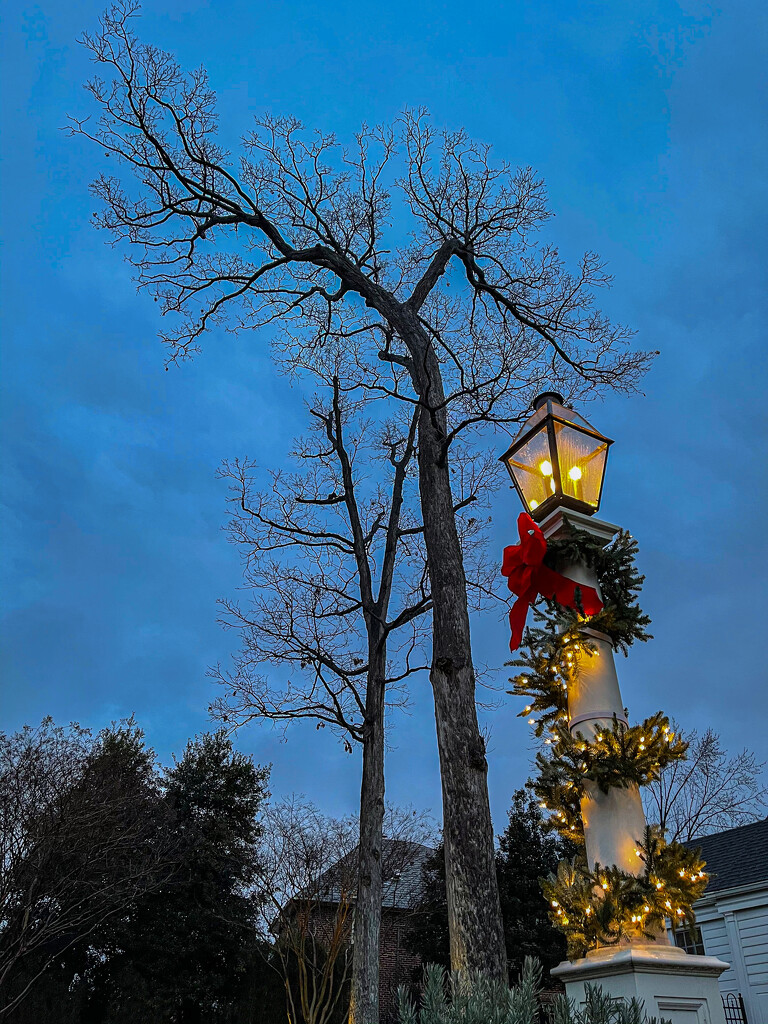 Christmas lamp post by jbritt