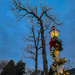 Christmas lamp post by jbritt