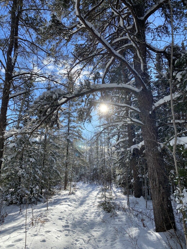 Snowshoe trail  by radiogirl
