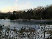 9th Jan 2022 - Frozen Pond