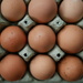 January 10th Eggs
