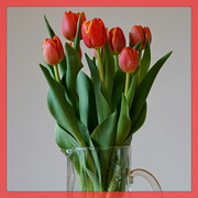 10th Jan 2022 - red tulips in a glass vase