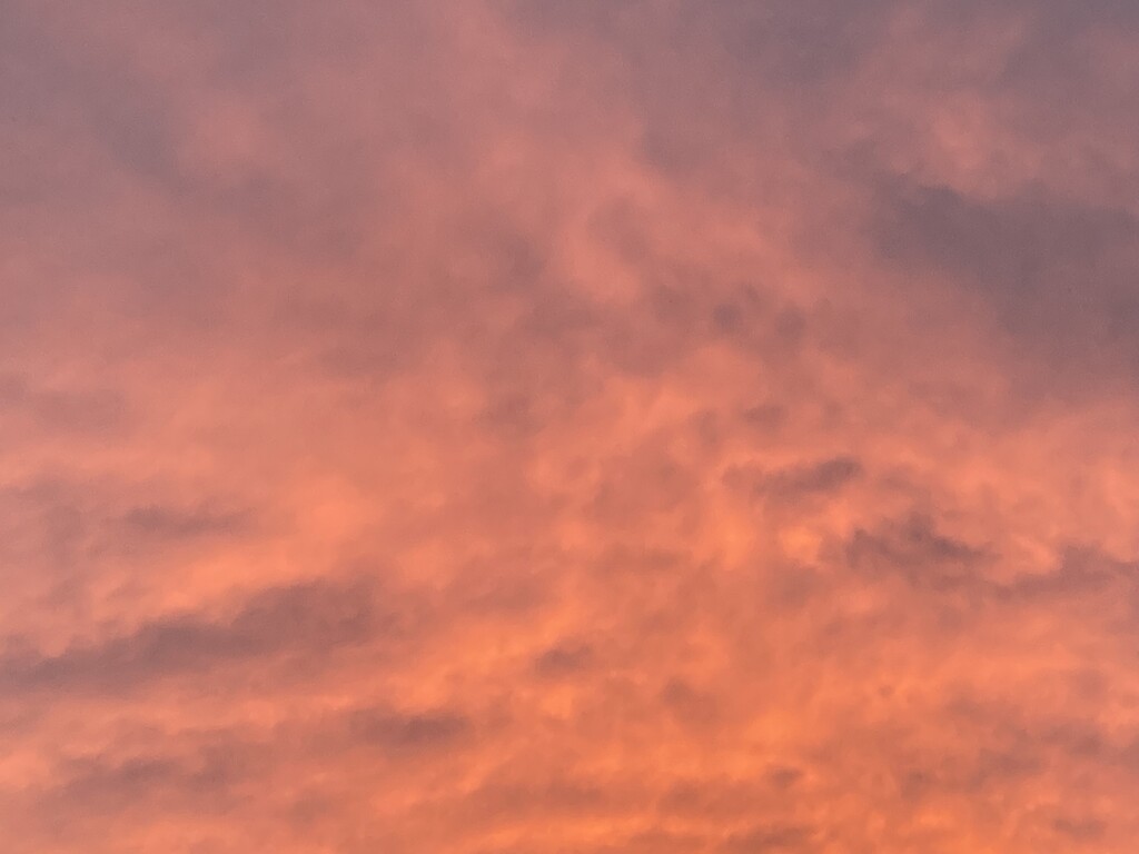 Morning Sky by cataylor41