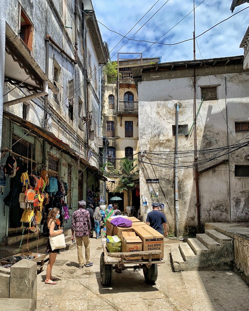 Activities in Stone Town.  by cocobella