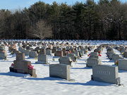 9th Jan 2022 - Cemetery in snow