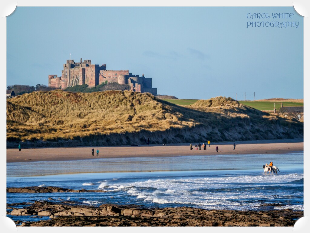 Bamburgh Castle Viewed From Seahouses by carolmw