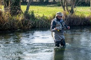 11th Jan 2022 - Fishing on the Coln