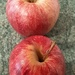 Two Gala Apples. by grace55