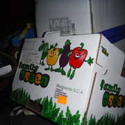 11th Jan 2022 - Box #4: Veggies from the Market