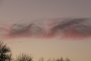 11th Jan 2022 - arty cloud