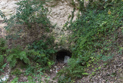 10th Jan 2022 - Robber Baron Cave