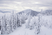 4th Jan 2022 - Mt Roberts from Motherlode