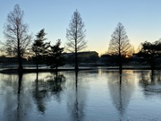 11th Jan 2022 - Reflections on ice 