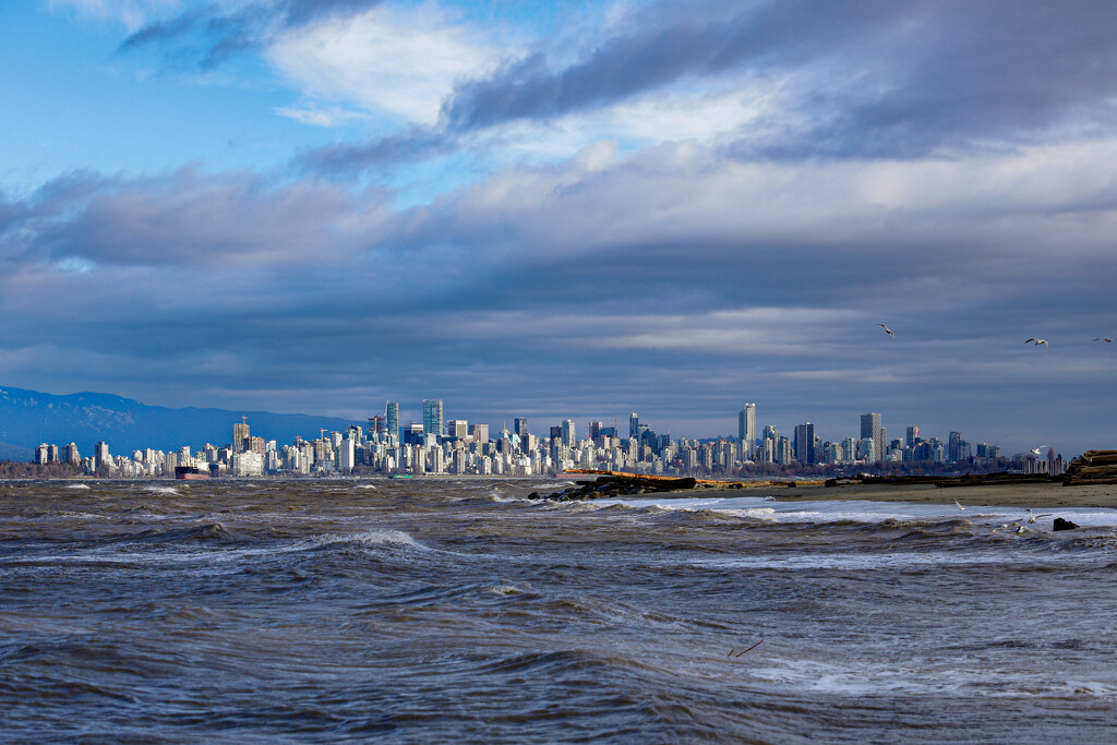 Cold & Windy Vancouver by jawere