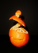 12th Jan 2022 - A Dancing Orange