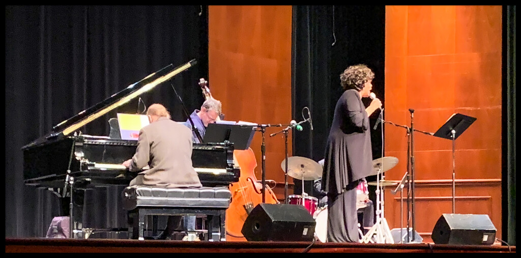 Dave Posmontier Trio with vocalist Paula Johns by hjbenson