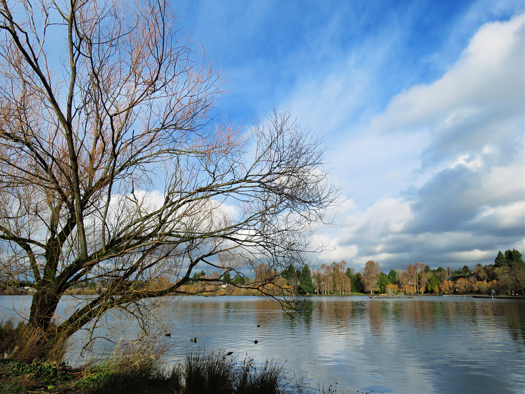 Green Lake View, cont. by seattlite