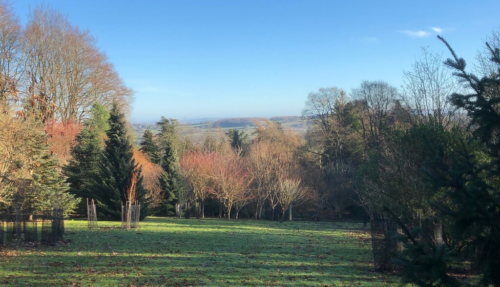 View from the Arboretum, Hergest Croft by susiemc
