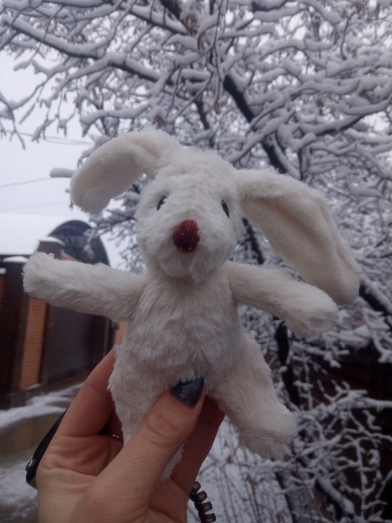 Снежный заяц в шоке by natalytry