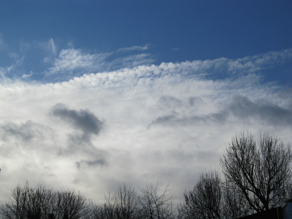 Winter sky by speedwell