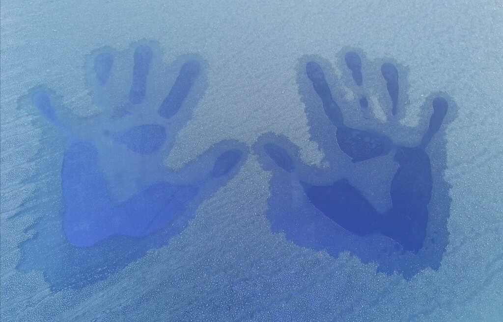 Frosty windscreen by kimka