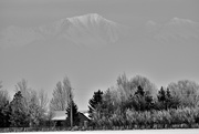 10th Jan 2022 - Montana In Black & White