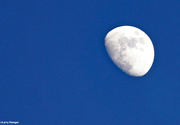 12th Jan 2022 - Day time moon