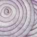 Purple Onion Detail by skipt07