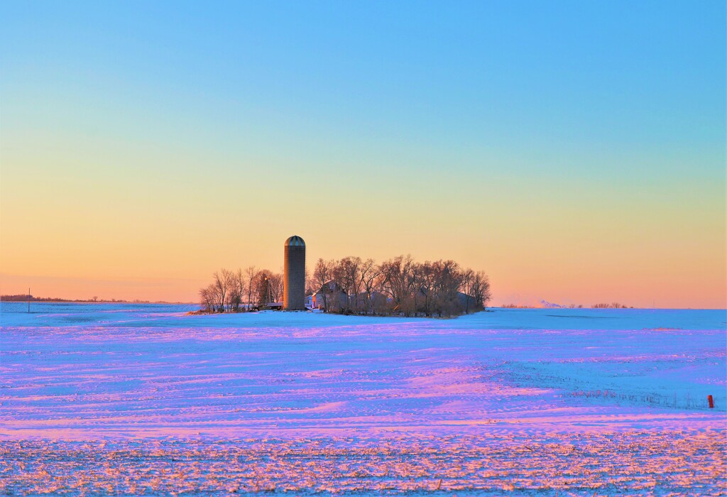 Iowa January  by lynnz