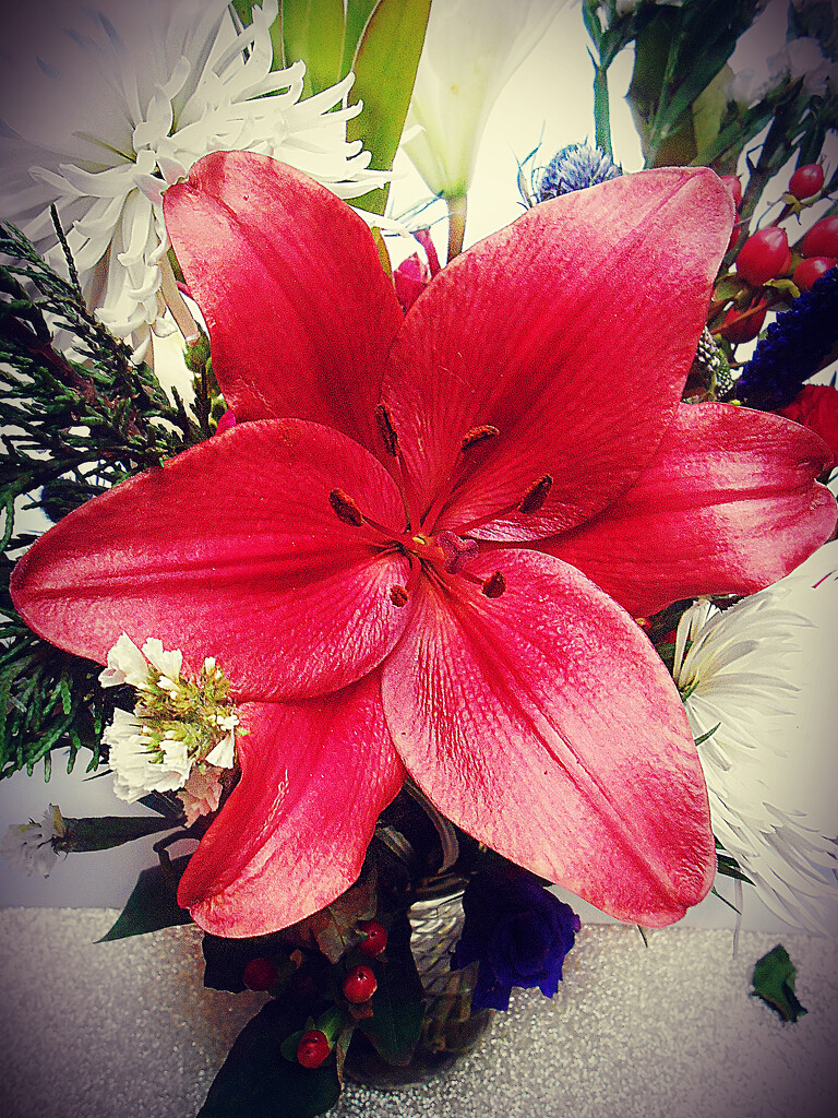Red Lily by njmauthor