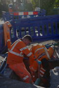 13th Jan 2022 - There They Was, Diggin' A Hole