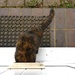 Coming in the cat flap by lellie