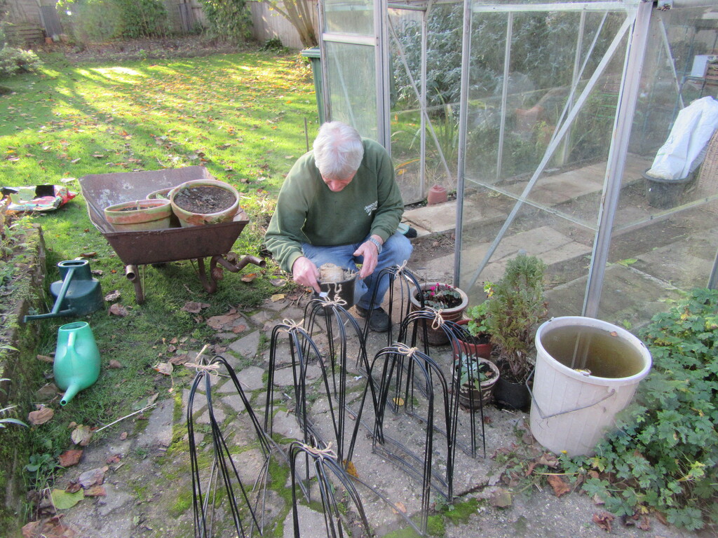 Greenhouse cleaning by lellie