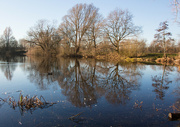 13th Jan 2022 - Barnwell country Park