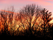 13th Jan 2022 - Another Winter Sunrise