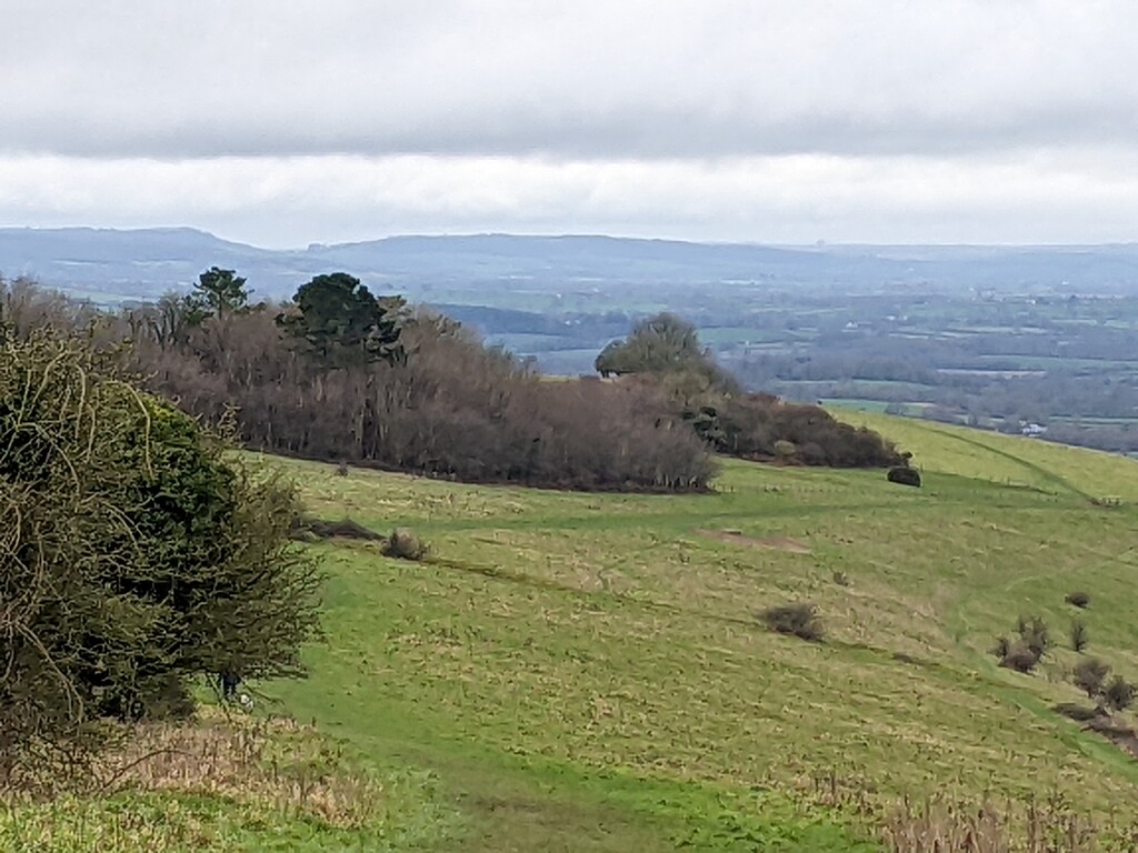 The hills near Shaftesbury by yorkshirelady