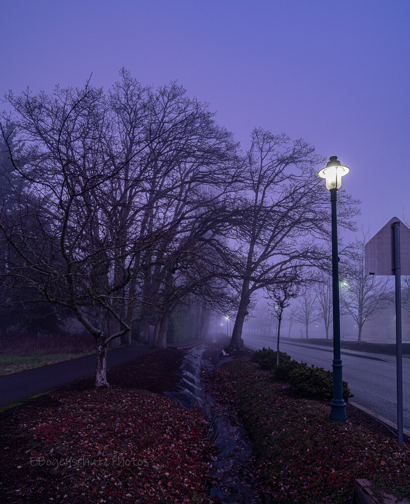 Foggy Street  by theredcamera