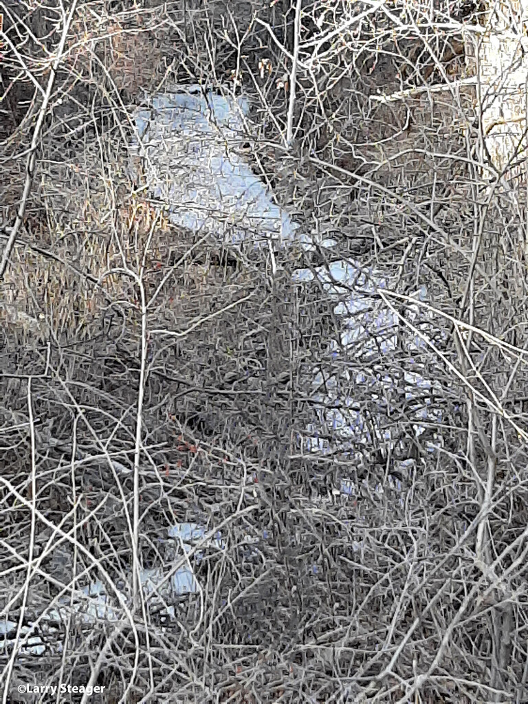 Frozen creek by larrysphotos