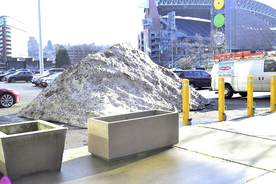 Famous Snow on 365 Project