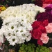 Flowers at the supermarket