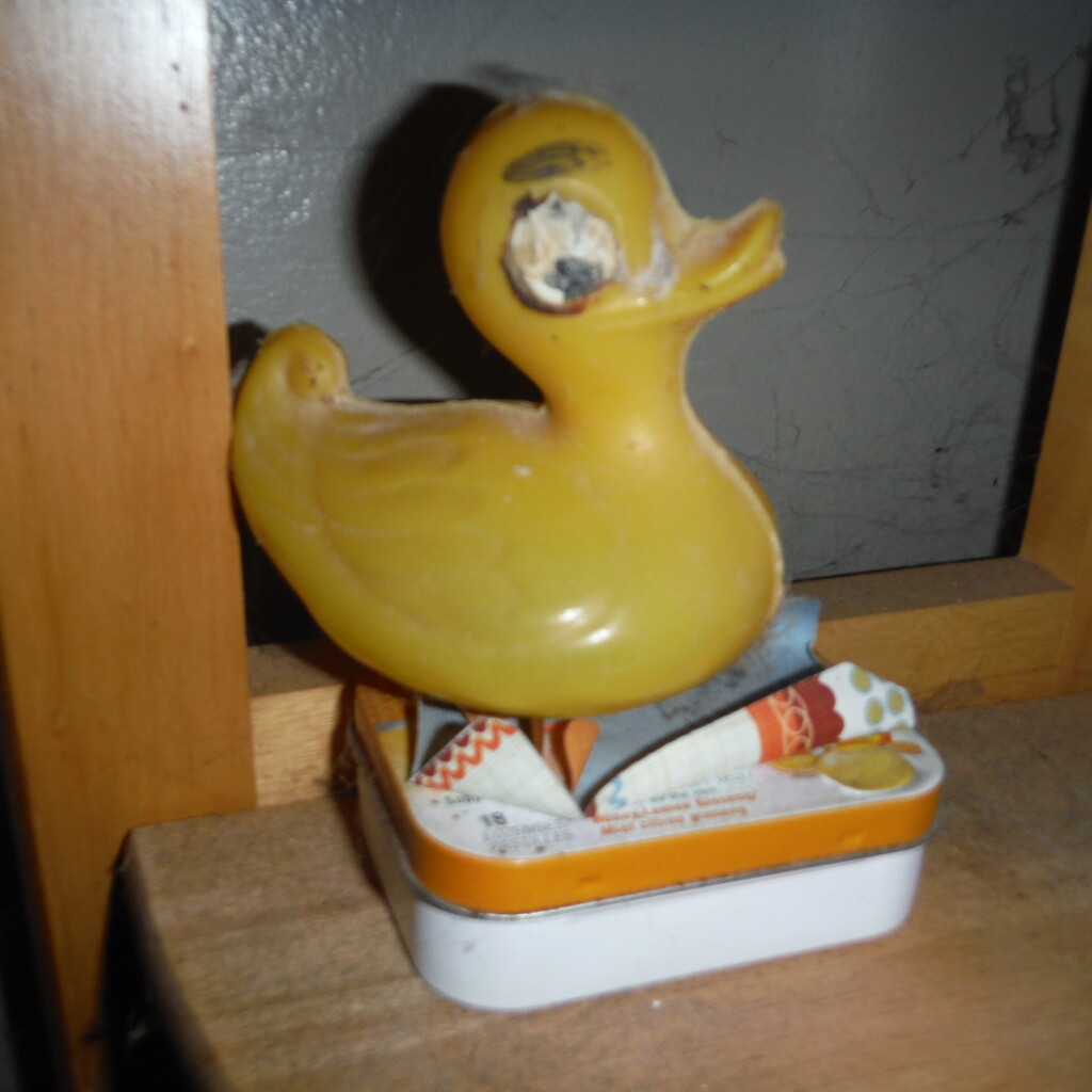 Rubber Ducky Day by spanishliz